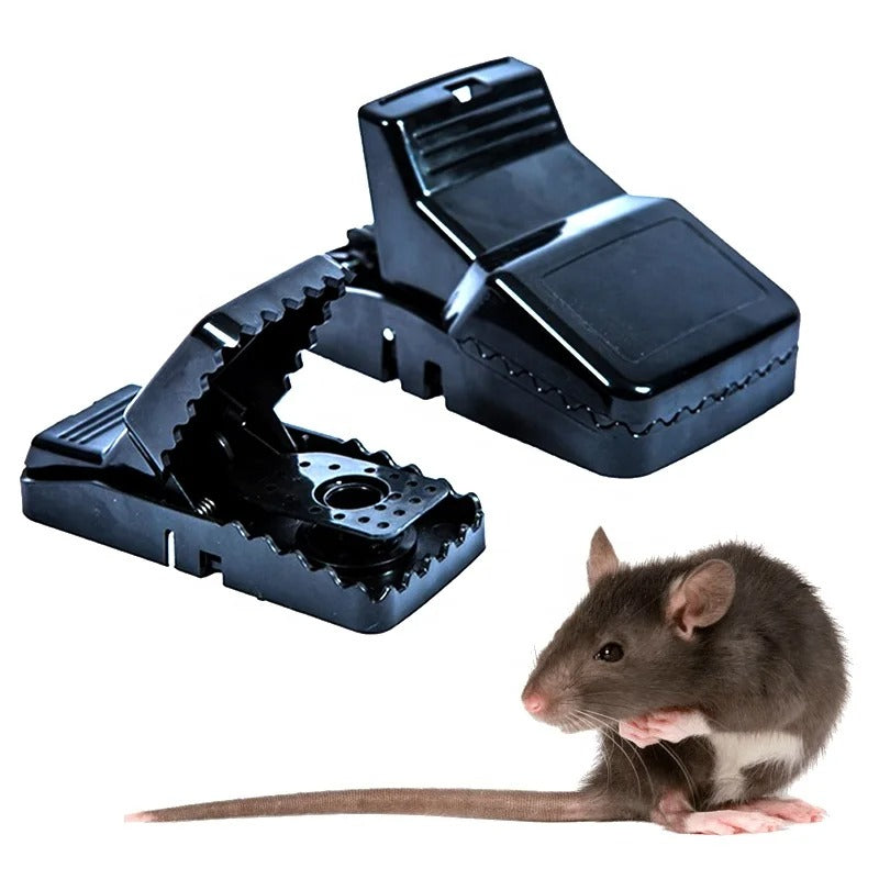 Mouse Trap Solution